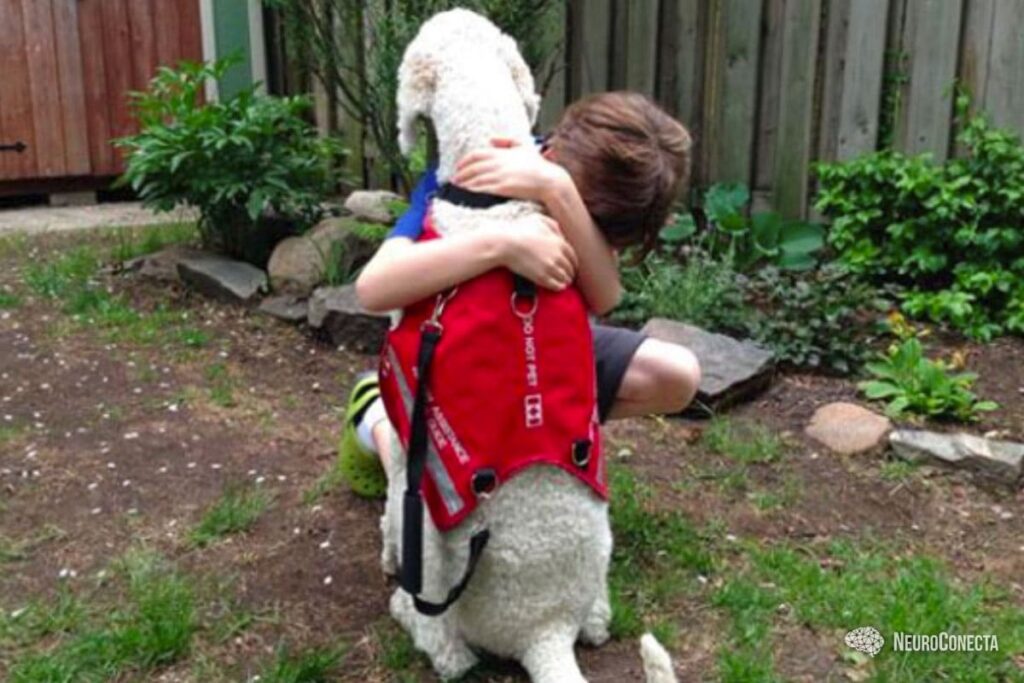Cães de serviço para autistas